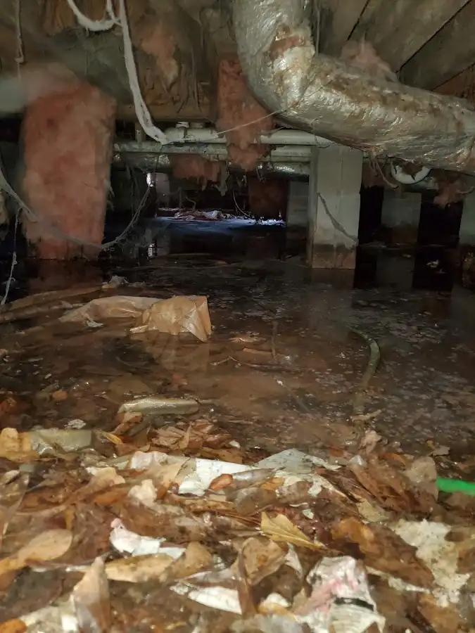 Crawl space flood assessment for Leak Detection & Repair in Green Bay