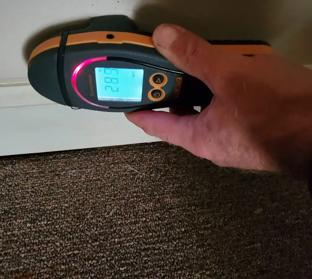 Moisture detection at baseboard during Burst Pipe Cleanup in Green Bay